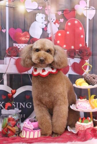 20250214マロンちゃん 